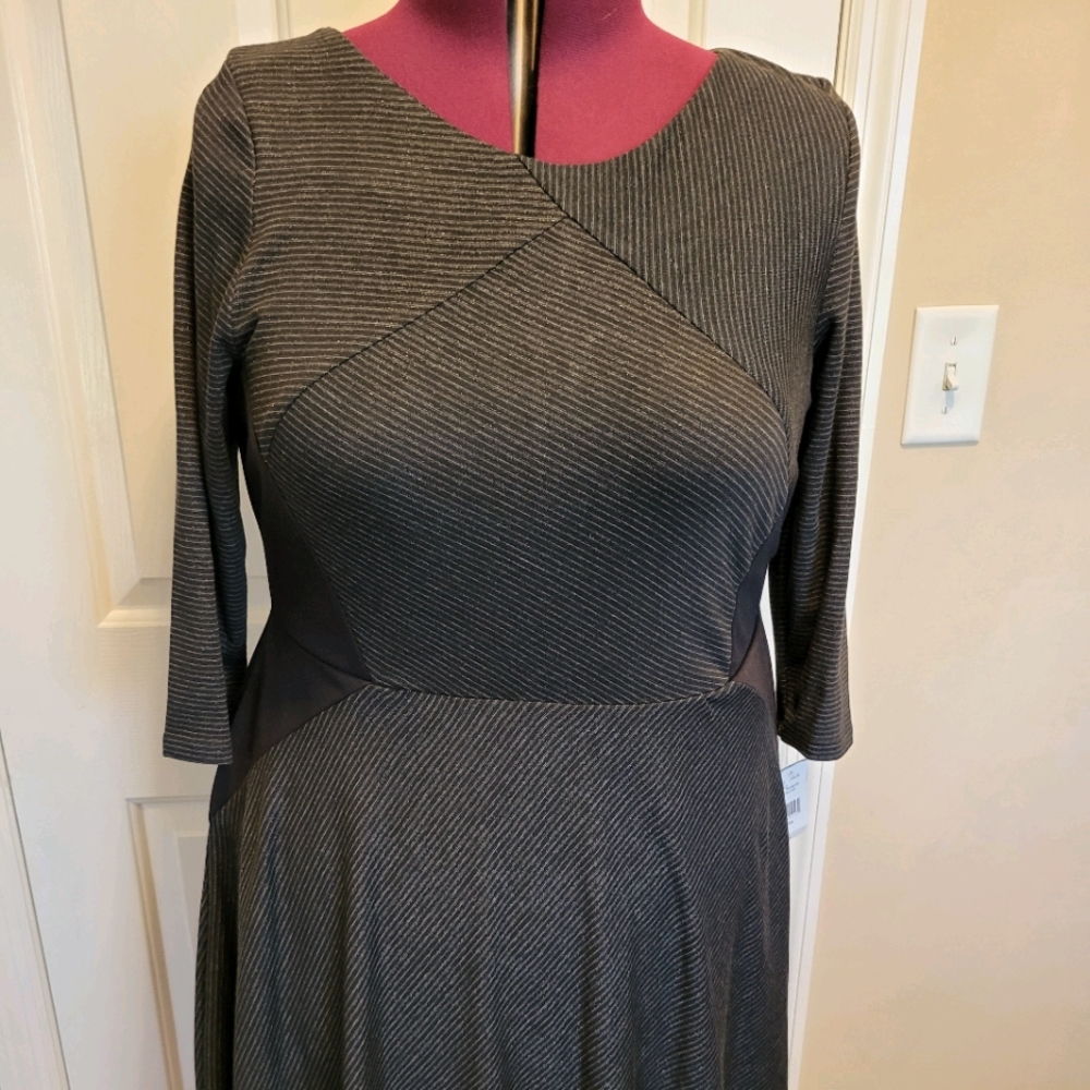 Silver and Black Dress